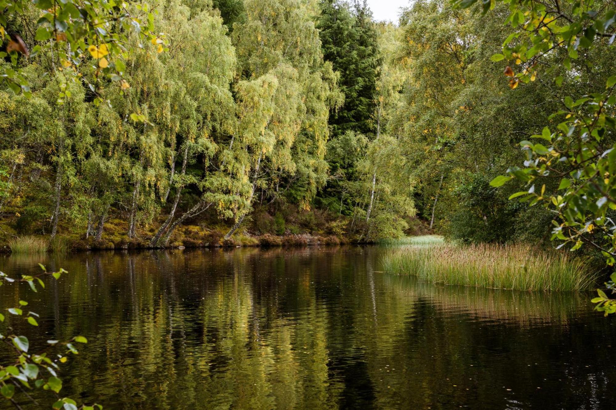 Macdonald Lochanhully Resort Carrbridge Esterno foto